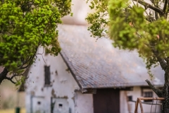 268318718_5294540663894944_3173582332515136363_n