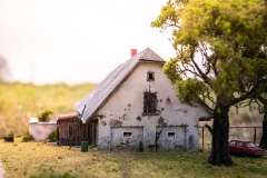 269598525_5294537977228546_2037241146166272552_n